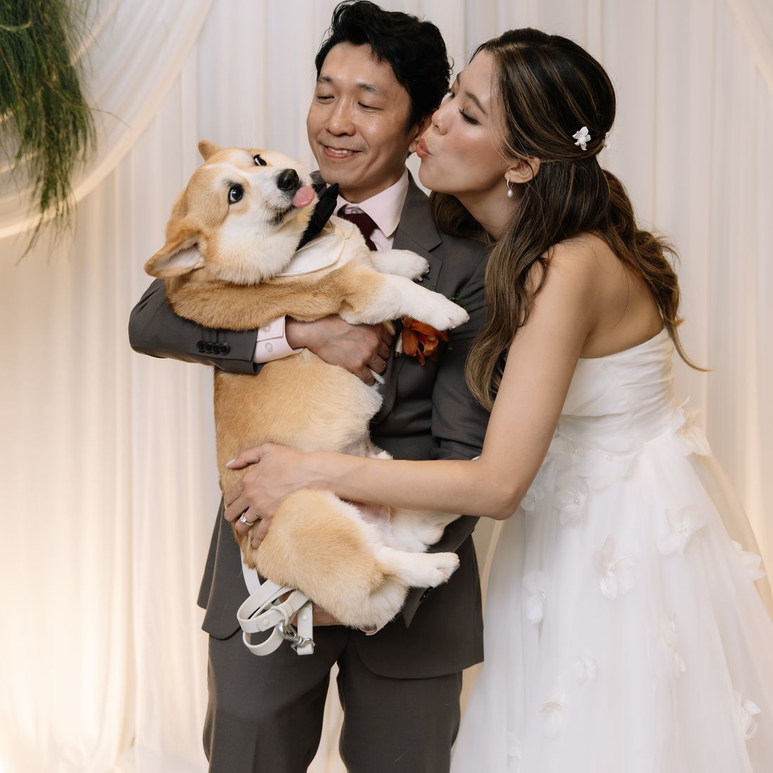 Growing Family Sessions